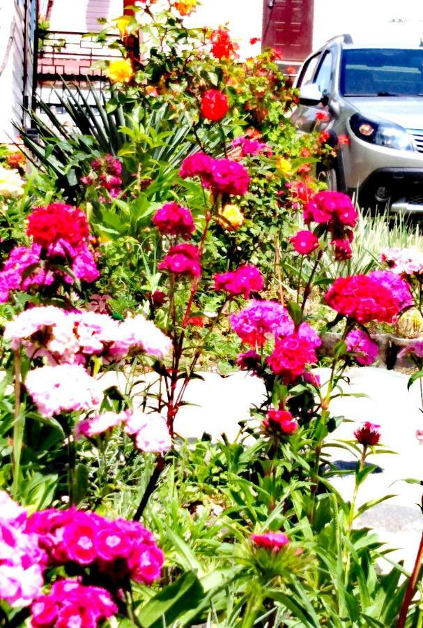 At the seaside Hotel Pizunda Exterior foto